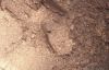 Serendipity Loose Eye Shadow
