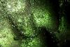 Arcane Magic: Dark Fantasy