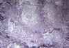 Arcane Magic: Sequined Master