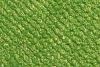 Pressed: Bitey Tyrannosaur Eye Shadow
