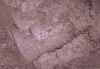 Sloth Snuggles Loose Eye Shadow