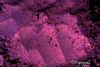 Mephisto Loose Eye Shadow
