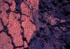 Mephisto Loose Eye Shadow