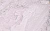 Sakura Loose Eye Shadow