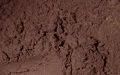 Snow Leopard Loose Eye Shadow