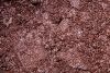 Snow Leopard Loose Eye Shadow