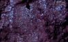 Wicked Loose Eye Shadow